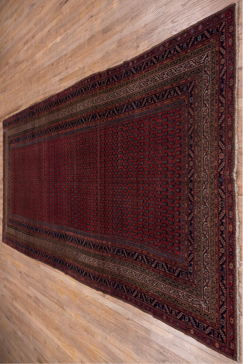 Antique Malayer Area Rug (6' x 13')